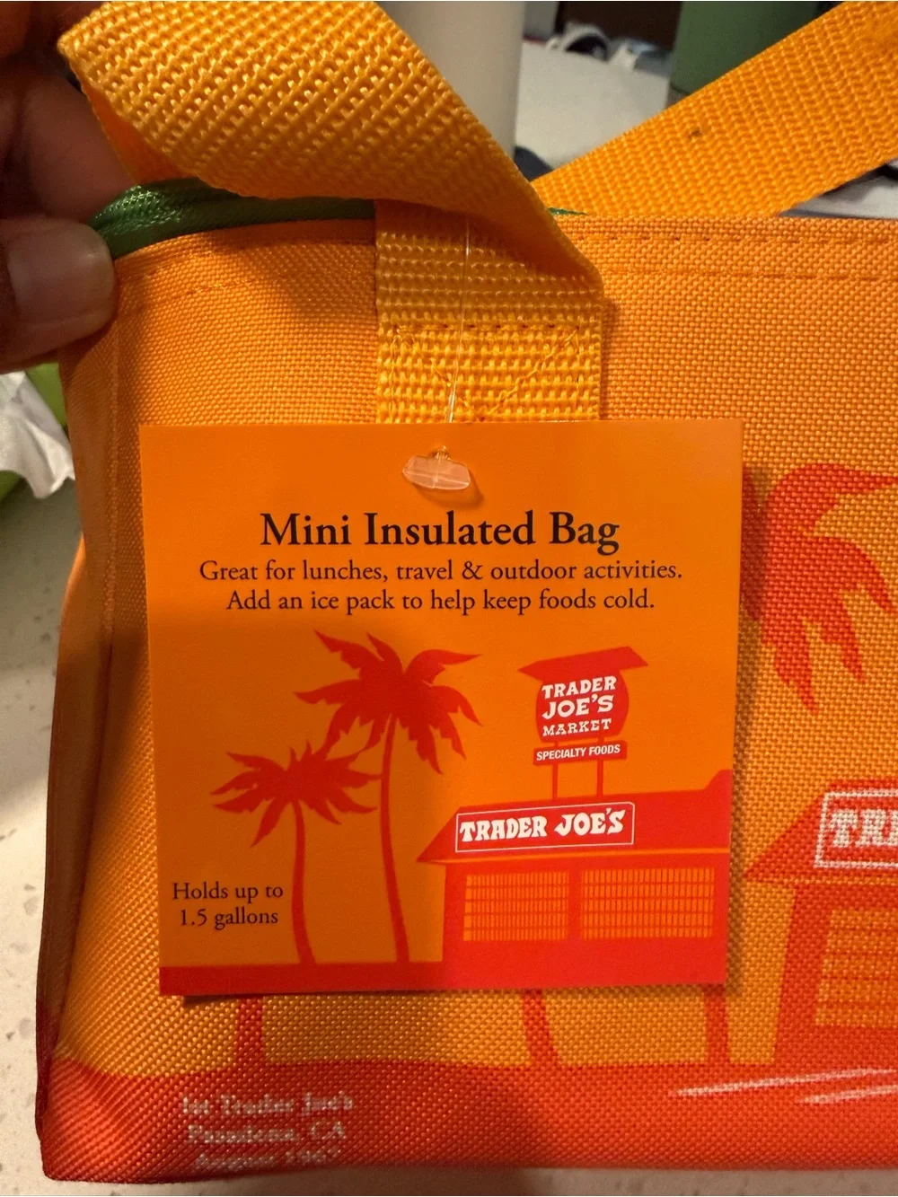 Trader Joe's Insulated Bag